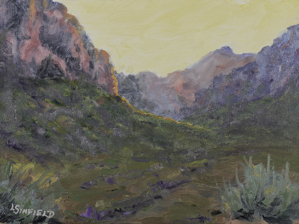Into The Canyon