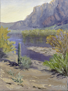 Salt River